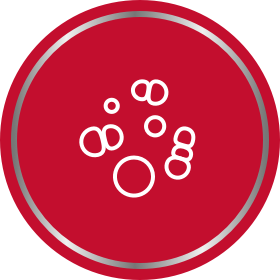 Bacteria icon