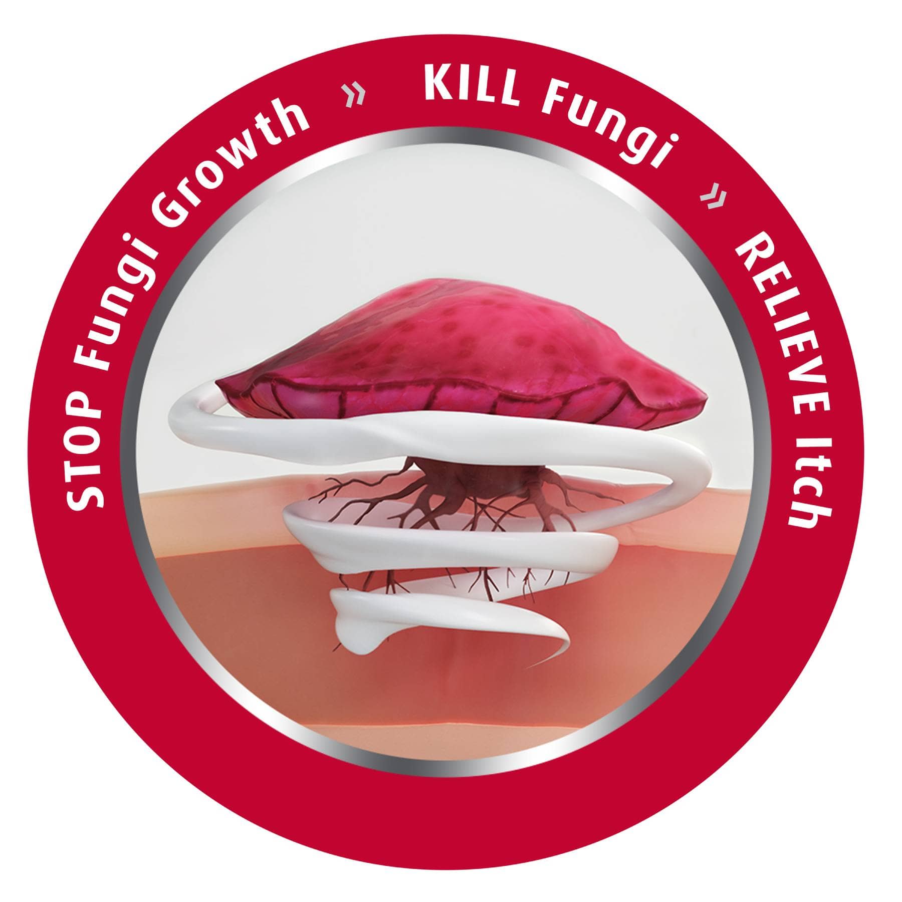 Kill Fungi