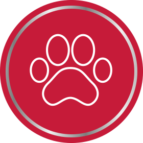 Canesten animal paw print icon
